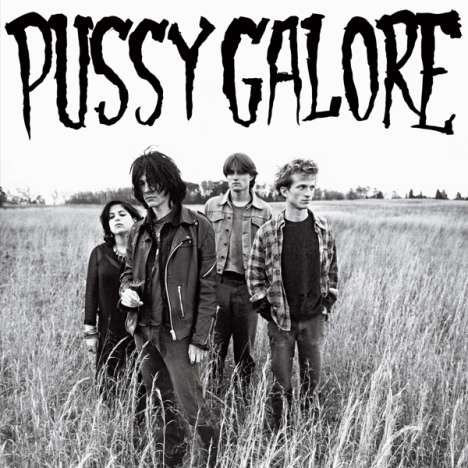 Pussy Galore: Groovy Hate Fuck, LP