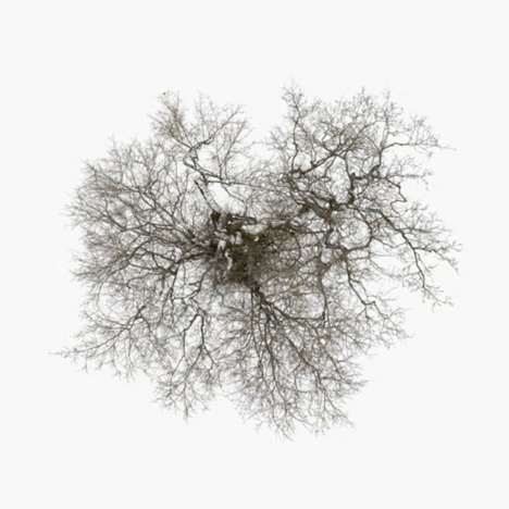 John Metcalfe (geb. 1964): Tree, LP