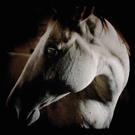 Brother Dege (AKA Dege Legg): How To Kill A Horse, CD