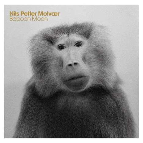 Nils Petter Molvær (geb. 1960): Baboon Moon, CD