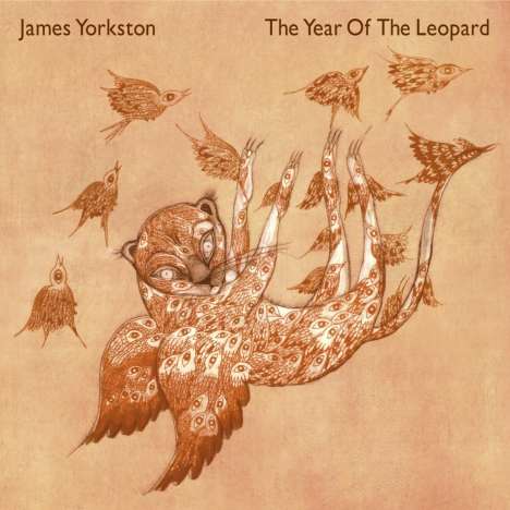 James Yorkston: The Year Of The Leopard, 2 LPs