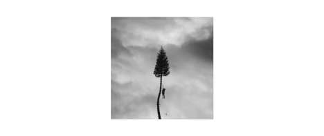 Manchester Orchestra: A Black Mile to the Surface (180g) (Silver Vinyl), 2 LPs