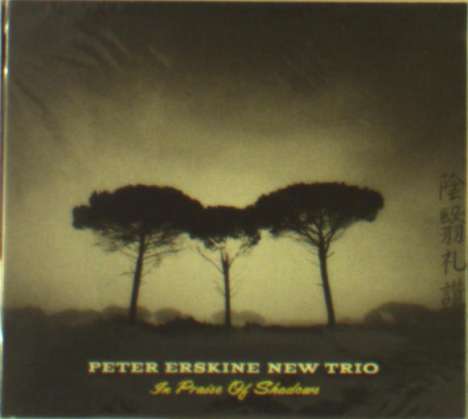 Peter Erskine (geb. 1954): In Praise Of Shadows, CD