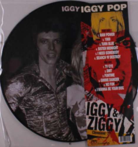Iggy Pop: Iggy &amp; Ziggy - Cleveland '77 (Limited Edition) (Picture Disc), LP