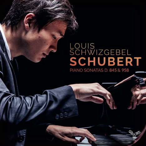 Franz Schubert (1797-1828): Klaviersonaten D.845 &amp; D.958, CD