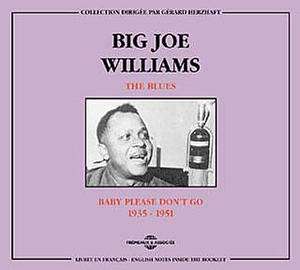 Big Joe Williams (Guitar/Blues): Baby Please Don't Go, 2 CDs