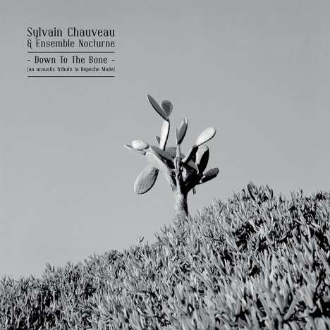 Sylvain Chauveau: Down To The Bone (An Acoustic Tribute To Depeche Mode), LP