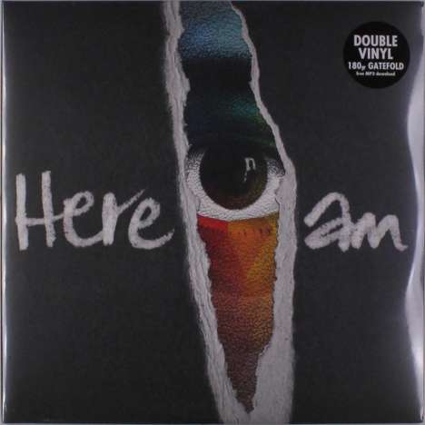 Groundation: Here I Am (180g), 2 LPs