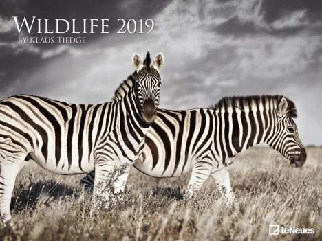 2019 Wildlife Poster Calendar, Buch