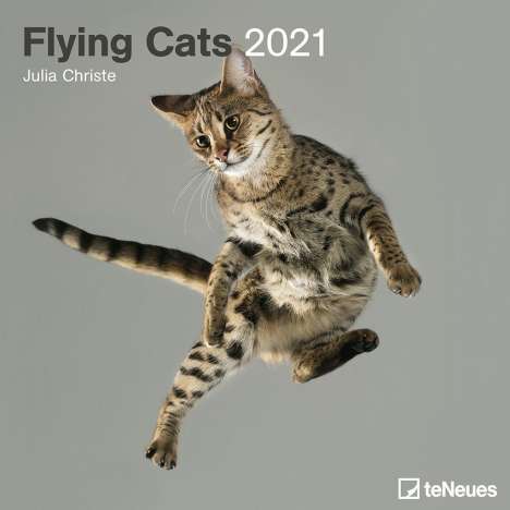Flying Cats 2021 Broschürenkal., Kalender