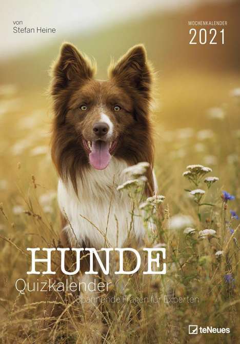 Stefan Heine: Hunde Quizkalender 2021, Kalender