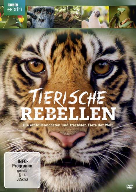 Tierische Rebellen, DVD