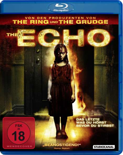 The Echo (Blu-ray), DVD