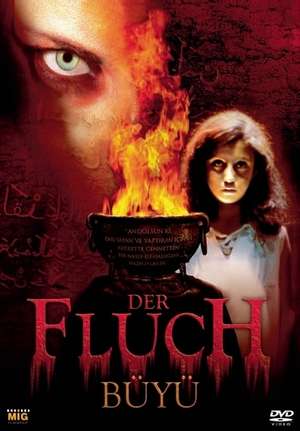 Der Fluch (2004), DVD