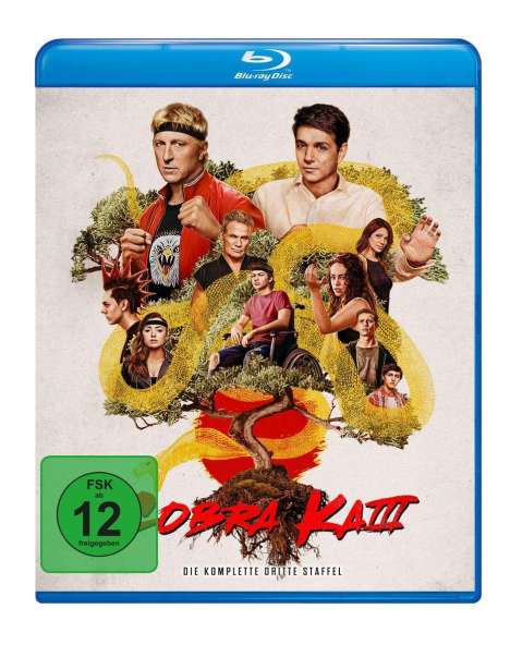 Cobra Kai Staffel 3 (Blu-ray), 2 Blu-ray Discs