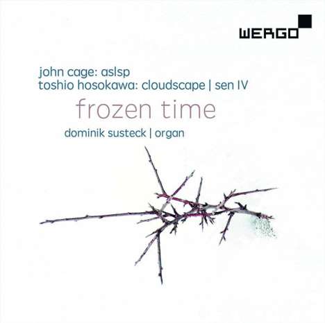 Dominik Susteck - Frozen Times, CD