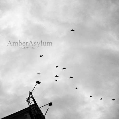 Amber Asylum: Live In Wroclaw (Limited Edition), LP