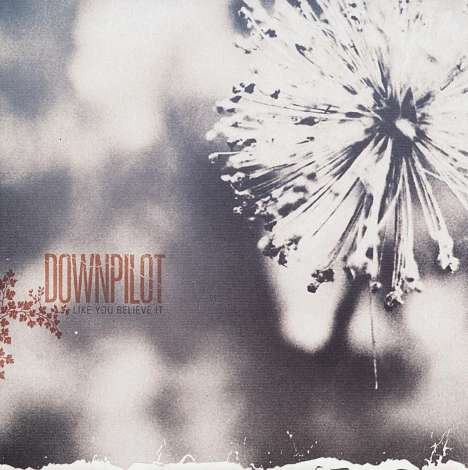 Downpilot: Like You Believe It, CD