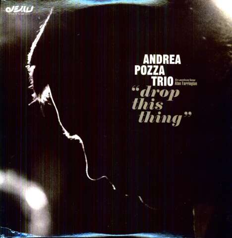 Andrea Pozza (geb. 1965): Drop This Thing, 2 LPs