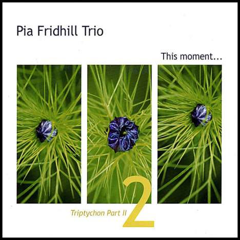 Pia Fridhill (geb. 1970): Triptychon Part 2: This Moment, CD