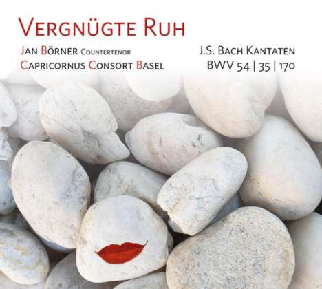 Johann Sebastian Bach (1685-1750): Kantaten BWV 35,54,170, CD