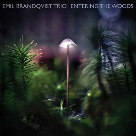 Emil Brandqvist (geb. 1981): Entering The Woods (180g), LP