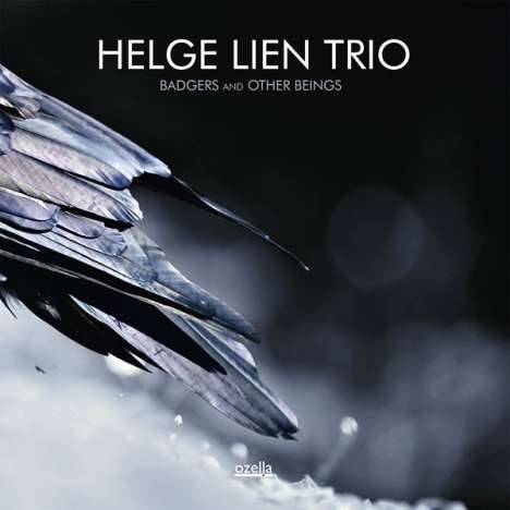 Helge Lien (geb. 1975): Badgers And Other Beings, CD