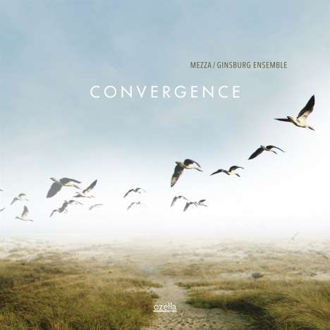 Mezza &amp; Ginsburg Ensemble: Convergence, CD