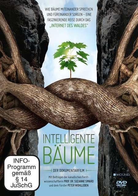 Intelligente Bäume, DVD