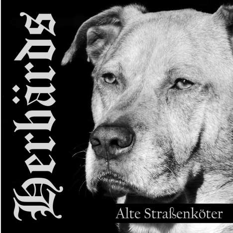 Herbärds: Alte Straßenköter (Limited Edition) (Yellow/Black Vinyl), LP