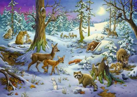 Sticker-Adventskalender - Tiere im Winterwald, Kalender