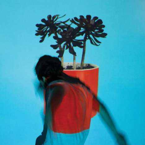 Local Natives: Sunlit Youth, LP