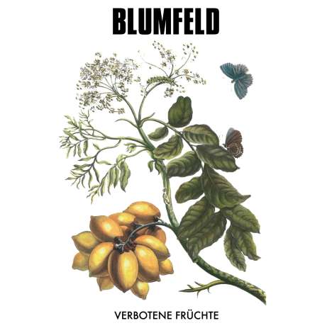 Blumfeld: Verbotene Früchte (180g) (New Vinyl Edition), 2 LPs