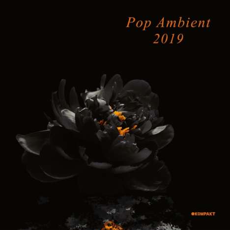 Pop Ambient 2019, CD