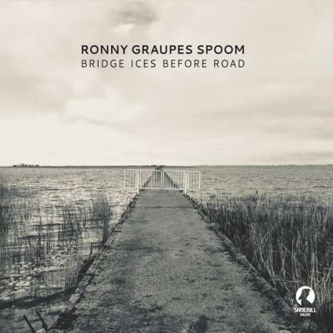 Ronny Graupe (geb. 1979): Bridge Ices Before Road, CD