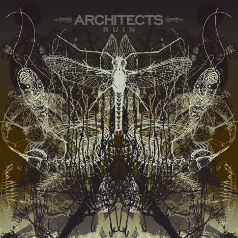 Architects (UK): Ruin (Limited Edition) (Green/White Marbled Vinyl), LP