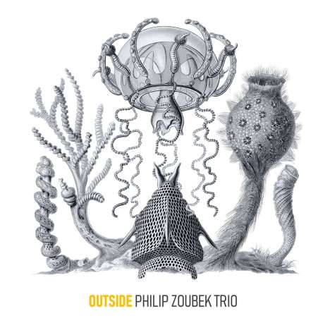 Philip Zoubek (geb. 1978): Outside, CD