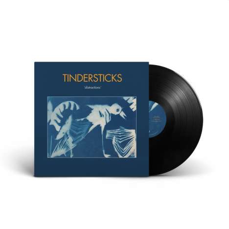 Tindersticks: Distractions, LP