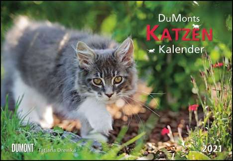 DuMonts Katzen-Kalender 2021, Kalender