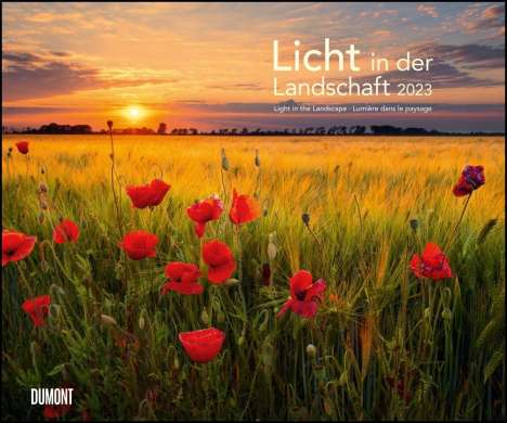 Licht in der Landschaft 2023 - Wandkalender 58,4 x 48,5 cm -, Kalender