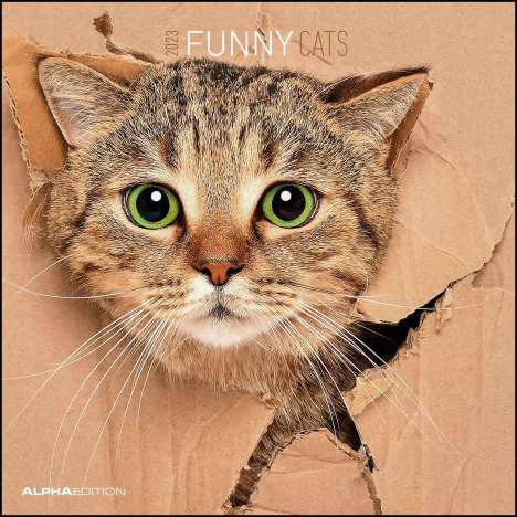 Funny Cats 2023 30x30, Kalender
