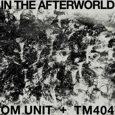 Om Unit + TM404: In The Afterworld, LP