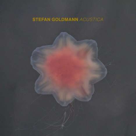 Stefan Goldmann: Acustica, CD