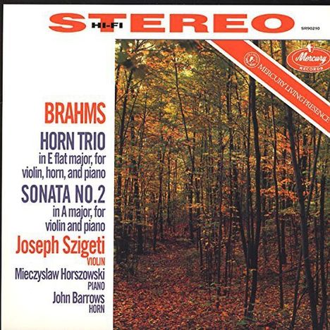 Johannes Brahms (1833-1897): Sonate für Violine &amp; Klavier Nr.1 (op.78) (180g), LP