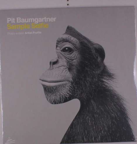 Pit Baumgartner (De-Phazz): Sample Selfie, LP