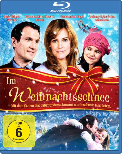 Im Weihnachtsschnee - Mit dem Sturm des Jahrhunderts kommt ein Geschenk fürs Leben (Blu-ray), Blu-ray Disc