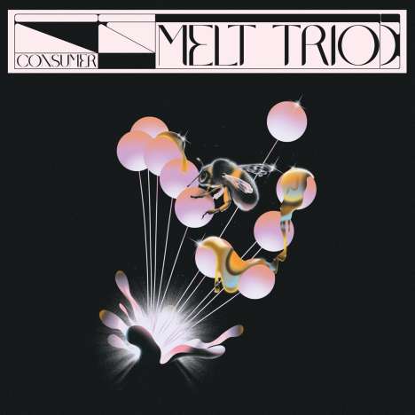 Melt Trio: Consumer, CD