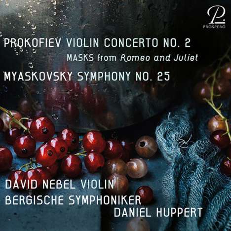 Nikolai Miaskowsky (1881-1950): Symphonie Nr.25 (Deluxe-Ausgabe im Hardcover), CD