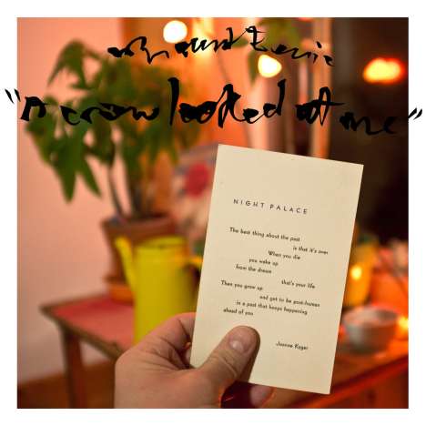 Mount Eerie: A Crow Looked At Me (Papersleeve), CD