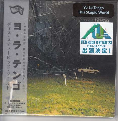 Yo La Tengo: This Stupid World (Papersleeve), CD